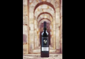 Odile Motelet Photographe