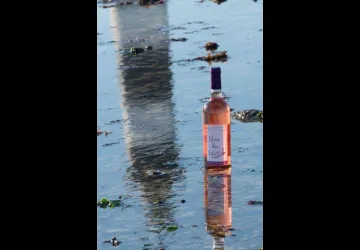 Odile Motelet Photographe