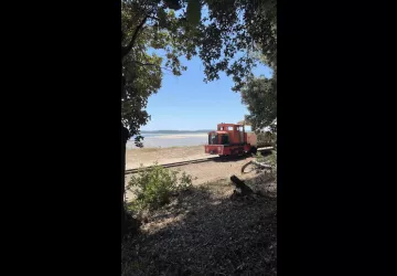 Chasse aux trésors ONF - Les secrets des palissades - Saint-trojan-les-Bains_Saint-Trojan-les-Bains