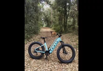 IO DREAM LOCATION - Location vélos électriques et matériel de surf_Saint-Trojan-les-Bains