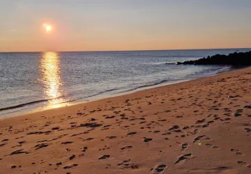 Domaine La Cabane_Saint-Pierre-d'Oléron