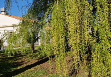 Domaine La Cabane_Saint-Pierre-d'Oléron