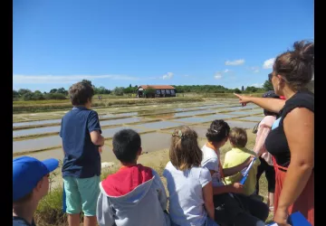 Atelier 7-12 ans le grimoire magique du marais au Port des Salines_Le Grand-Village-Plage