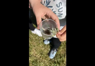 Atelier 7-12 ans "Le grimoire magique du marais" au Port des Salines_Le Grand-Village-Plage