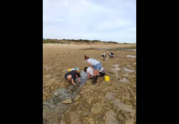 Pêche à pied d'exploration