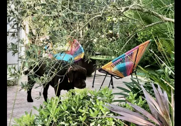 Les Fleurs De Lys, Villa L'Enclos des Lys_Saint-Georges-d'Oléron