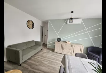 M. et Mme Borges Petit_La Brée-les-Bains