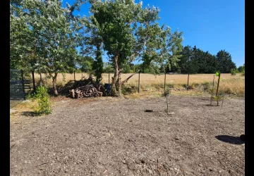 M. et Mme Borges Petit_La Brée-les-Bains