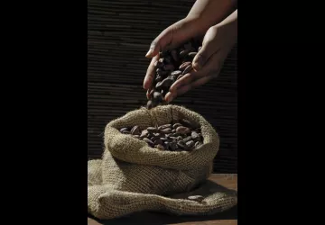 Exposition - Passion chocolat_Saint-Trojan-les-Bains