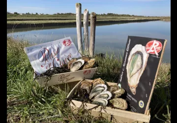 Huîtres Massé_Dolus-d'Oléron