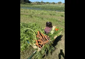GAEC AU RYTHME DES LOMBRICS_Dolus-d'Oléron