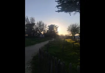 Parking de la Rémigeasse_Dolus-d'Oléron