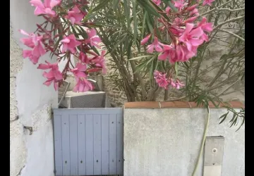 Maison de charme avec 2 vélos_Le Château-d'Oléron