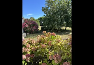 Meublée de Mr et Mme  Dervieux : Paulette_La Brée-les-Bains