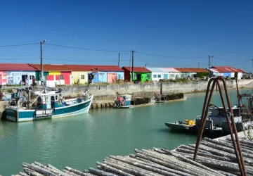 Les galeries d'Art et cabanes d'artistes_Saint-Trojan-les-Bains