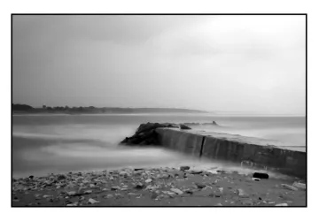 Photo patrice Labecque