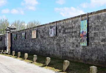 A bicyclette_Marennes-Hiers-Brouage