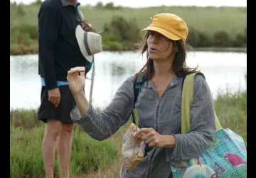 Balade botanique dans le marais de Brouage_Marennes-Hiers-Brouage