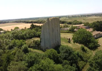 Chantier de Fouilles_Saint-Sornin