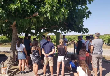 Visite du vignoble Vincent_Saint-Pierre-d'Oléron