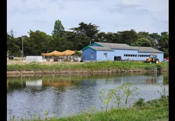 Les Marais de la Brande_Dolus-d'Oléron