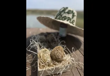 Maison Montil - Dégustation « Chez Léone »_Dolus-d'Oléron