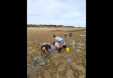 Pêche à pied d'exploration