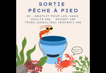 Pêche à pied d'exploration_Saint-Pierre-d'Oléron