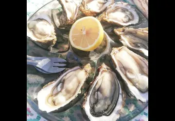 Visite de la Ferme Marine d'Artouan_Saint-Just-Luzac