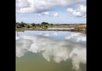 Visite de la Ferme Marine d'Artouan_Saint-Just-Luzac