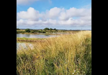 Visite de la Ferme Marine d'Artouan_Saint-Just-Luzac