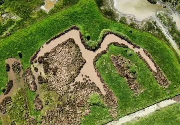 Parcours Legendr nature_Saint-Sornin
