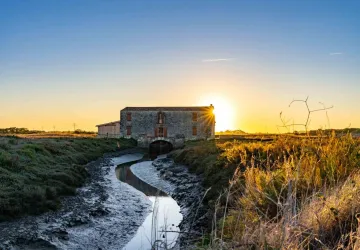 Visite du Moulin des Loges à la Lampe Torche