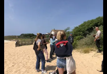 Sortie découverte des plantes sauvages de l’île d’Oléron