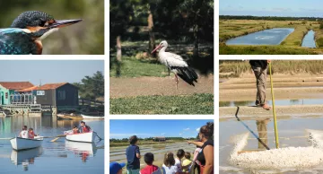 Paseos naturales en la isla de Oléron