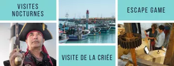 Excursiones organizadas por la Oficina de Turismo de la Isla de Oléron y Marennes-Beckens
