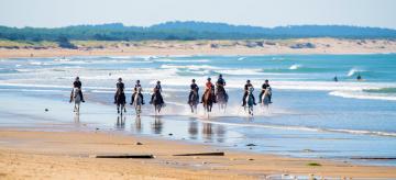 Equitation sur une plage de l'île d'Oléron